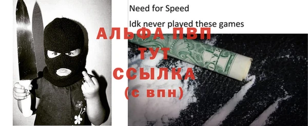 прущие грибы Беломорск