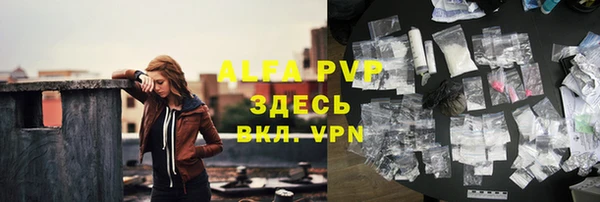 прущие грибы Беломорск