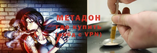прущие грибы Беломорск