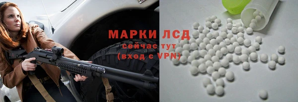 прущие грибы Беломорск