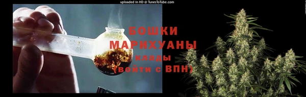 прущие грибы Беломорск