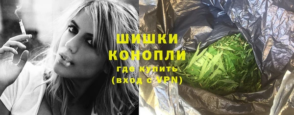 прущие грибы Беломорск
