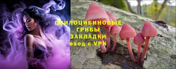 первитин Белоозёрский