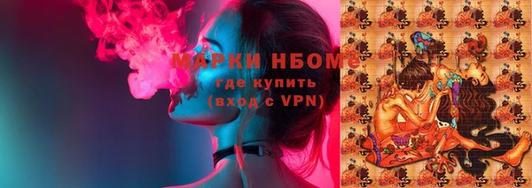 прущие грибы Беломорск