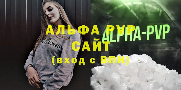 прущие грибы Беломорск