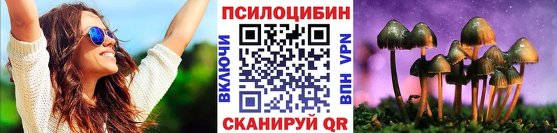 где купить наркоту  Кирово-Чепецк  Псилоцибиновые грибы Psilocybine cubensis 